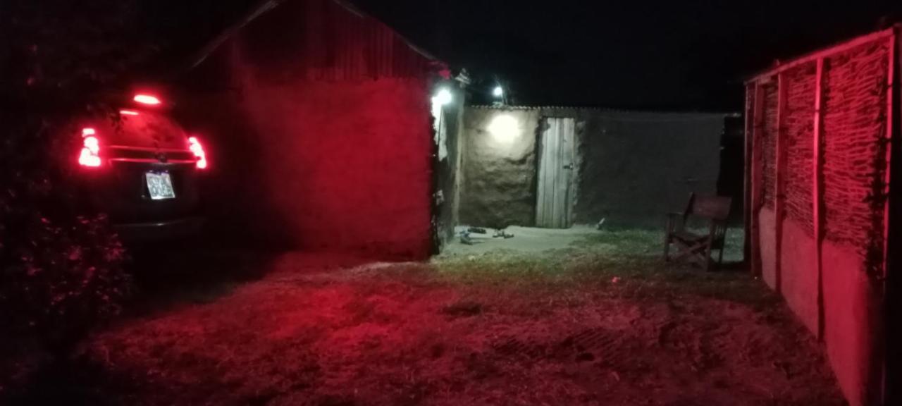 Maasai Homestay Camping Sekenani Exterior foto